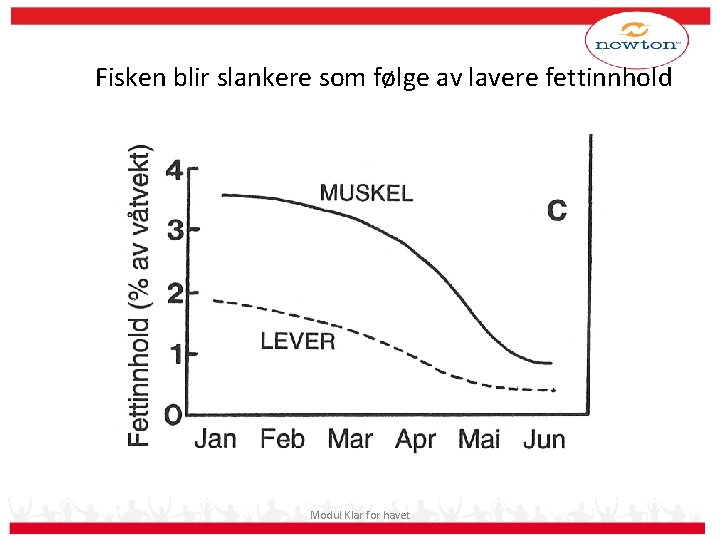 Fisken blir slankere som følge av lavere fettinnhold Modul Klar for havet 