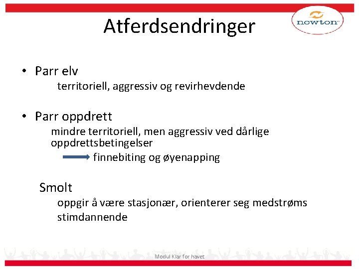 Atferdsendringer • Parr elv territoriell, aggressiv og revirhevdende • Parr oppdrett mindre territoriell, men