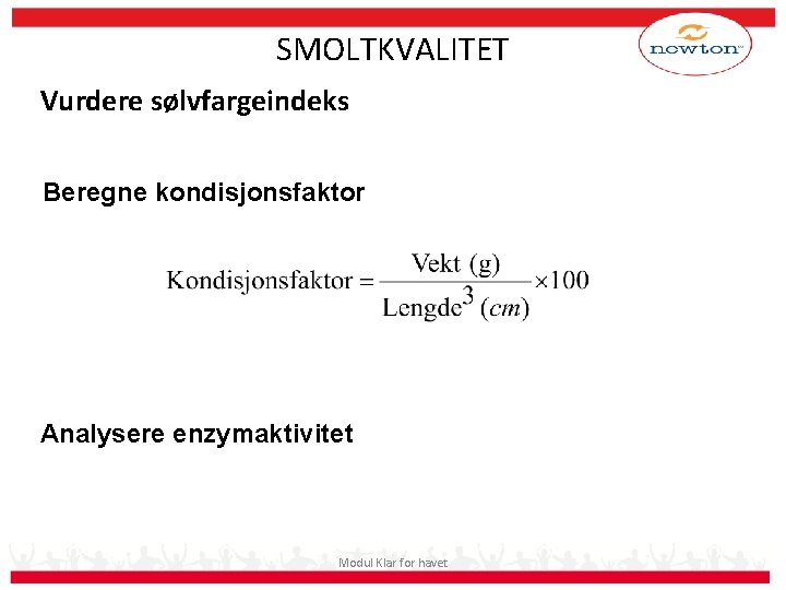 SMOLTKVALITET Vurdere sølvfargeindeks Beregne kondisjonsfaktor Analysere enzymaktivitet Modul Klar for havet 