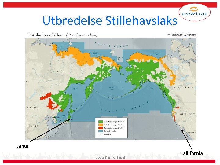 Utbredelse Stillehavslaks Japan Modul Klar for havet Callifornia 