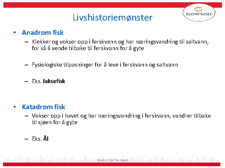 Livshistoriemønster • Anadrom fisk – Klekker og vokser opp i ferskvann og har næringsvandring