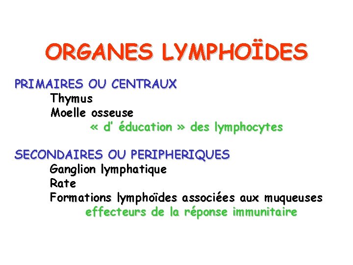 ORGANES LYMPHOÏDES PRIMAIRES OU CENTRAUX Thymus Moelle osseuse « d’ éducation » des lymphocytes