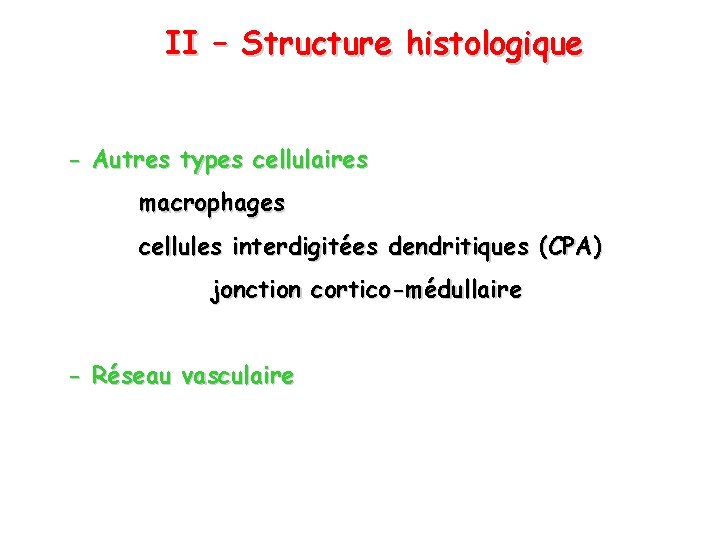 II – Structure histologique - Autres types cellulaires macrophages cellules interdigitées dendritiques (CPA) jonction