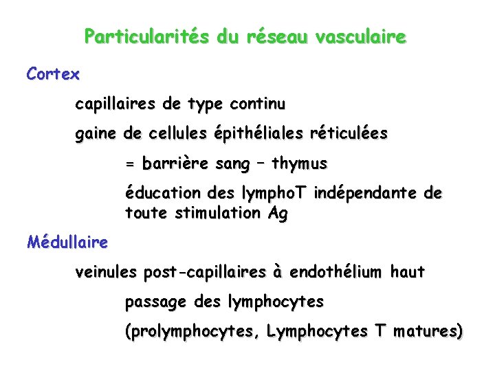 Particularités du réseau vasculaire Cortex capillaires de type continu gaine de cellules épithéliales réticulées