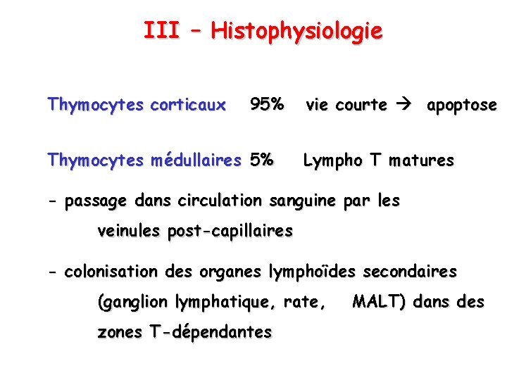 III – Histophysiologie Thymocytes corticaux 95% Thymocytes médullaires 5% vie courte apoptose Lympho T