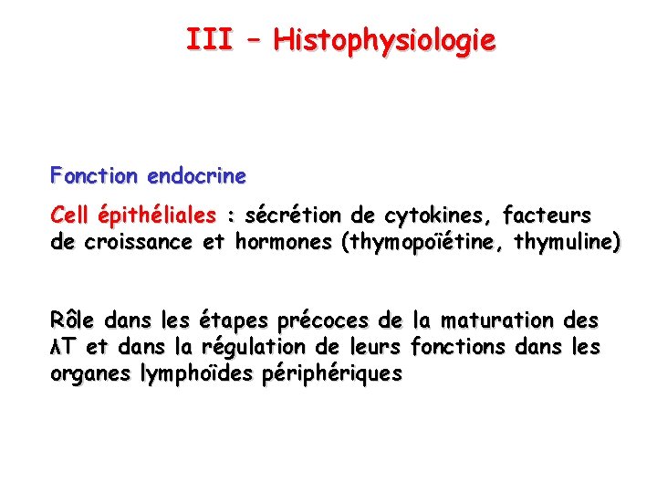 III – Histophysiologie Fonction endocrine Cell épithéliales : sécrétion de cytokines, facteurs de croissance