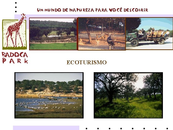 ECOTURISMO 