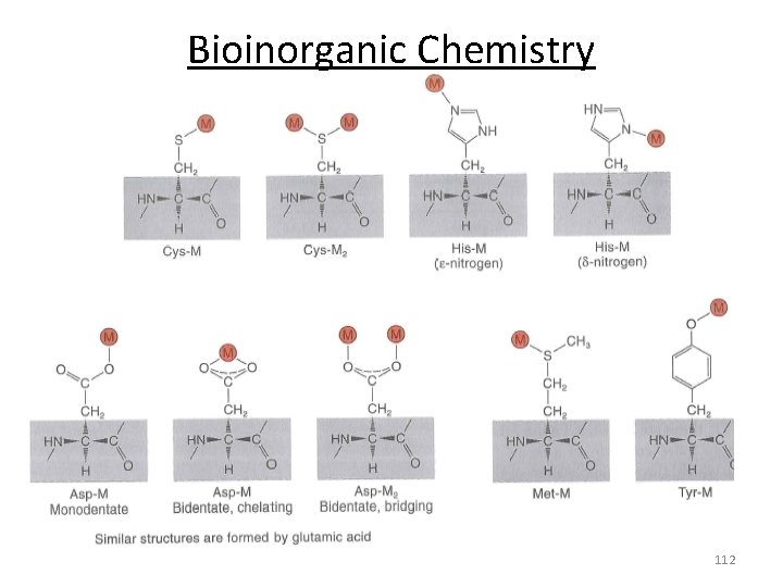 Bioinorganic Chemistry 112 