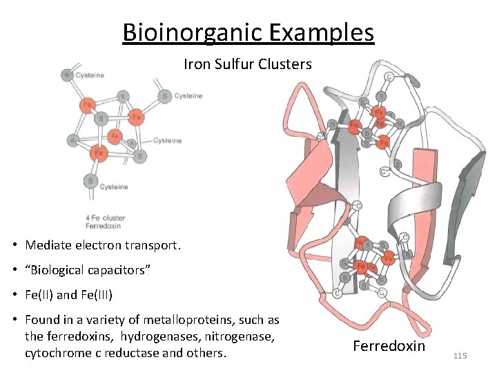 Bioinorganic Examples Iron Sulfur Clusters • Mediate electron transport. • “Biological capacitors” • Fe(II)