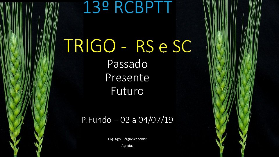 13º RCBPTT TRIGO - RS e SC Passado Presente Futuro P. Fundo – 02