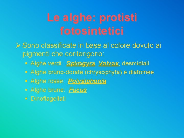 Le alghe: protisti fotosintetici Ø Sono classificate in base al colore dovuto ai pigmenti
