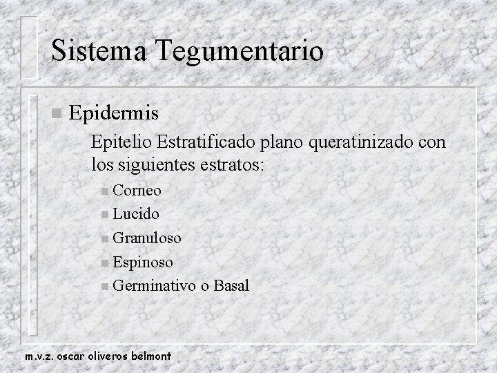 Sistema Tegumentario n Epidermis – Epitelio Estratificado plano queratinizado con los siguientes estratos: n