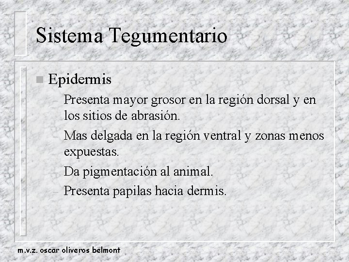 Sistema Tegumentario n Epidermis – – Presenta mayor grosor en la región dorsal y