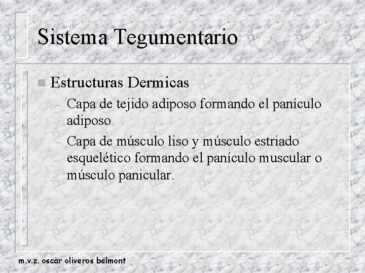 Sistema Tegumentario n Estructuras Dermicas – – Capa de tejido adiposo formando el panículo