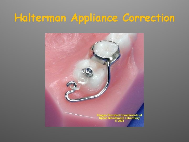 Halterman Appliance Correction 