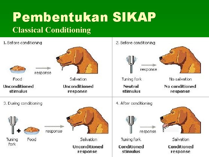 Pembentukan SIKAP Classical Conditioning 