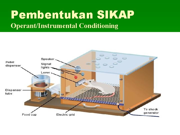 Pembentukan SIKAP Operant/Instrumental Conditioning 