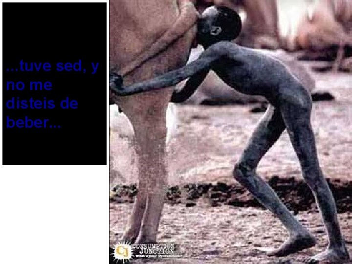 . . . tuve sed, y no me disteis de beber. . . 