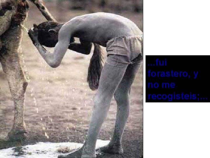 . . . fui forastero, y no me recogisteis; . . . 