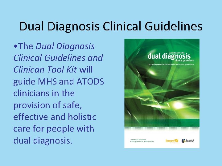 Dual Diagnosis Clinical Guidelines • The Dual Diagnosis Clinical Guidelines and Clinican Tool Kit Dual Diagnosis Clinical Guidelines • The Dual Diagnosis Clinical Guidelines and Clinican Tool Kit