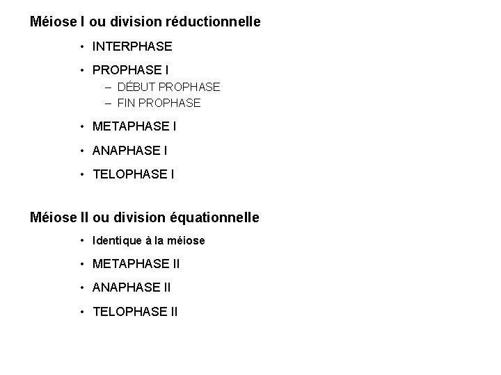 Méiose I ou division réductionnelle • INTERPHASE • PROPHASE I – DÉBUT PROPHASE –