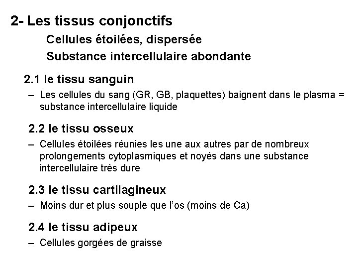 2 - Les tissus conjonctifs Cellules étoilées, dispersée Substance intercellulaire abondante 2. 1 le