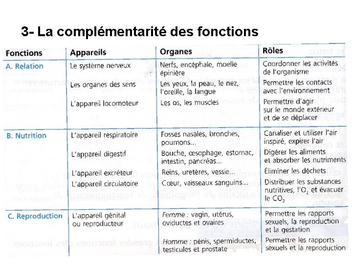 3 - La complémentarité des fonctions 
