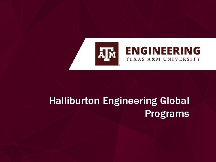Halliburton Engineering Global Programs 