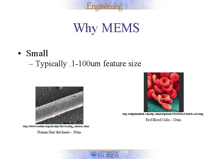 Why MEMS • Small – Typically. 1 -100 um feature size http: //singularityhub. com/wp-content/uploads/2008/08/red-blood-cells.