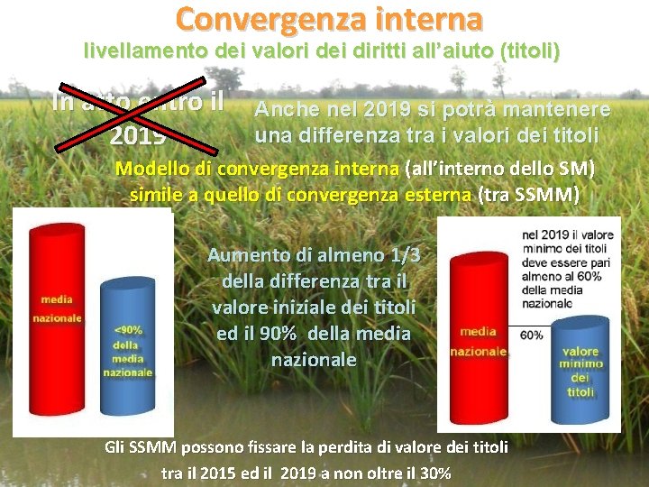 Convergenza interna livellamento dei valori dei diritti all’aiuto (titoli) In atto entro il 2019