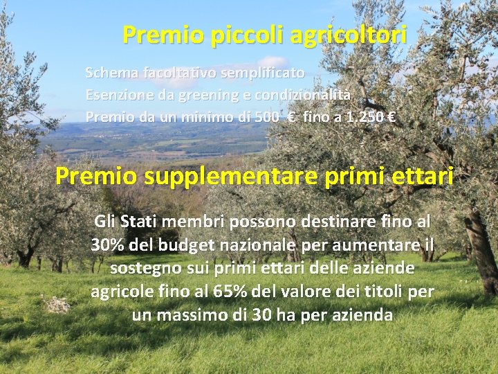 Premio piccoli agricoltori Schema facoltativo semplificato Esenzione da greening e condizionalità Premio da un