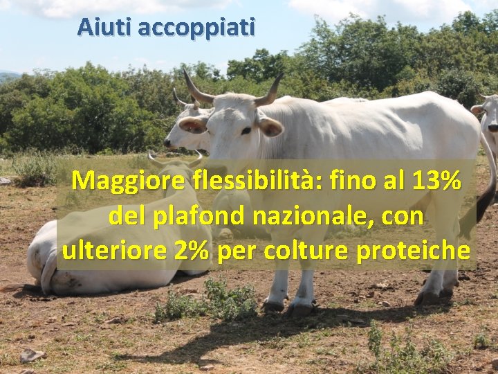 Aiuti accoppiati Maggiore flessibilità: fino al 13% del plafond nazionale, con ulteriore 2% per