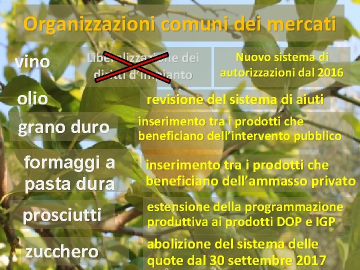 Organizzazioni comuni dei mercati vino Liberalizzazione dei diritti d’impianto olio grano duro formaggi a