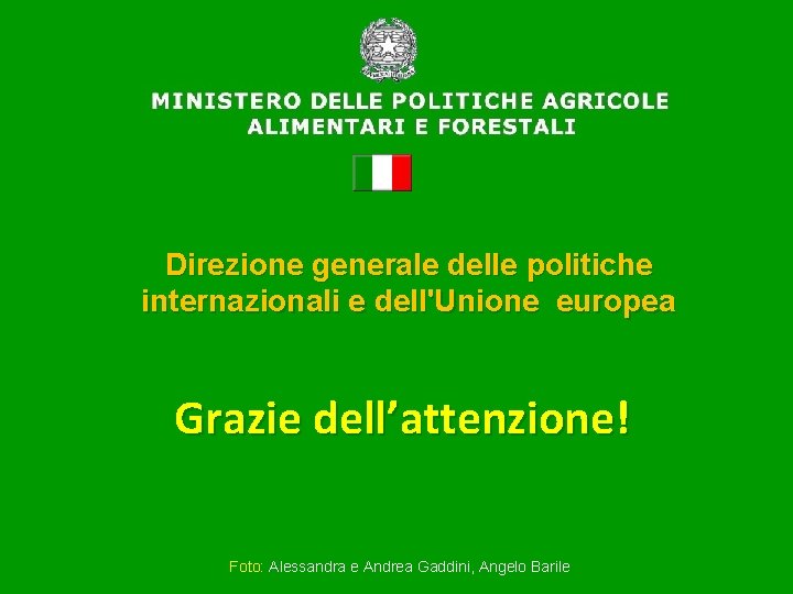 Direzione generale delle politiche internazionali e dell'Unione europea Grazie dell’attenzione! Foto: Alessandra e Andrea