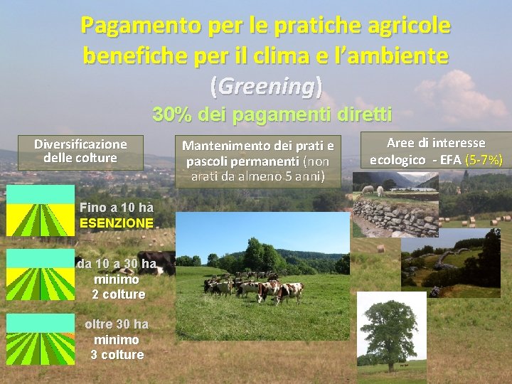 Pagamento per le pratiche agricole benefiche per il clima e l’ambiente (Greening) 30% dei