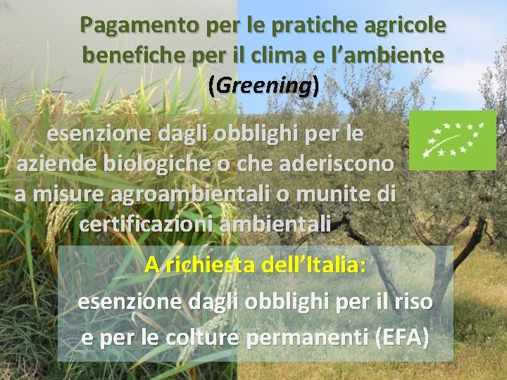 Pagamento per le pratiche agricole benefiche per il clima e l’ambiente (Greening) esenzione dagli