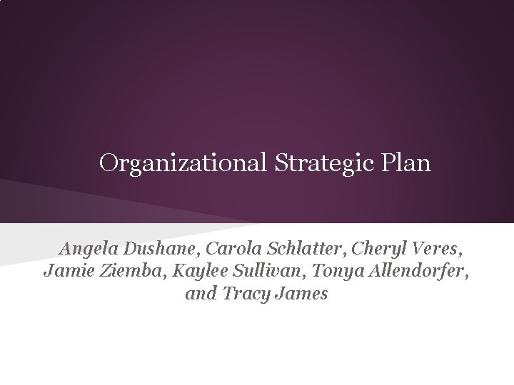 Organizational Strategic Plan Angela Dushane, Carola Schlatter, Cheryl Veres, Jamie Ziemba, Kaylee Sullivan, Tonya