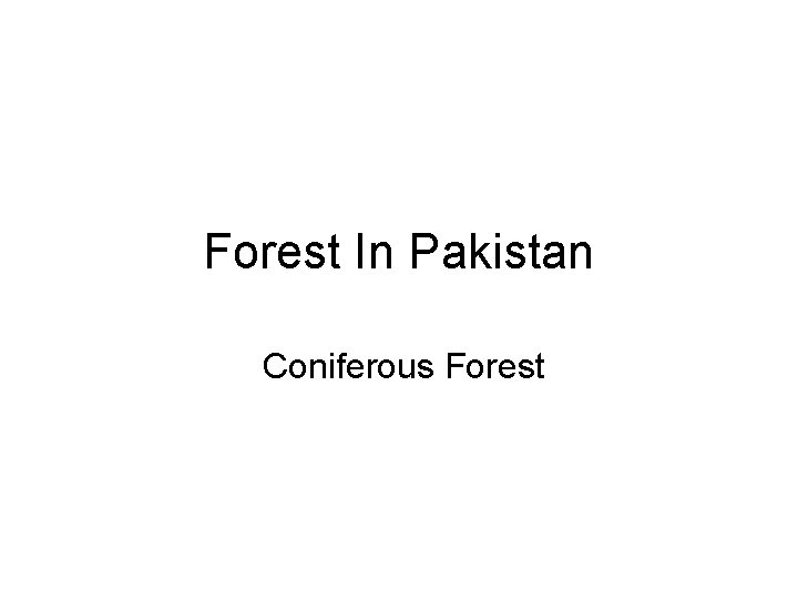 Forest In Pakistan Coniferous Forest 