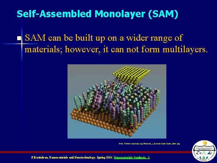 Self-Assembled Monolayer (SAM) n SAM can be built up on a wider range of