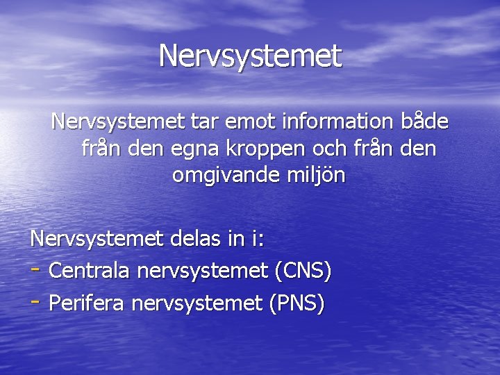 Nervsystemet tar emot information både från den egna kroppen och från den omgivande miljön