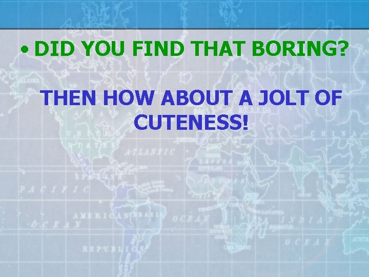  • DID YOU FIND THAT BORING? THEN HOW ABOUT A JOLT OF CUTENESS!