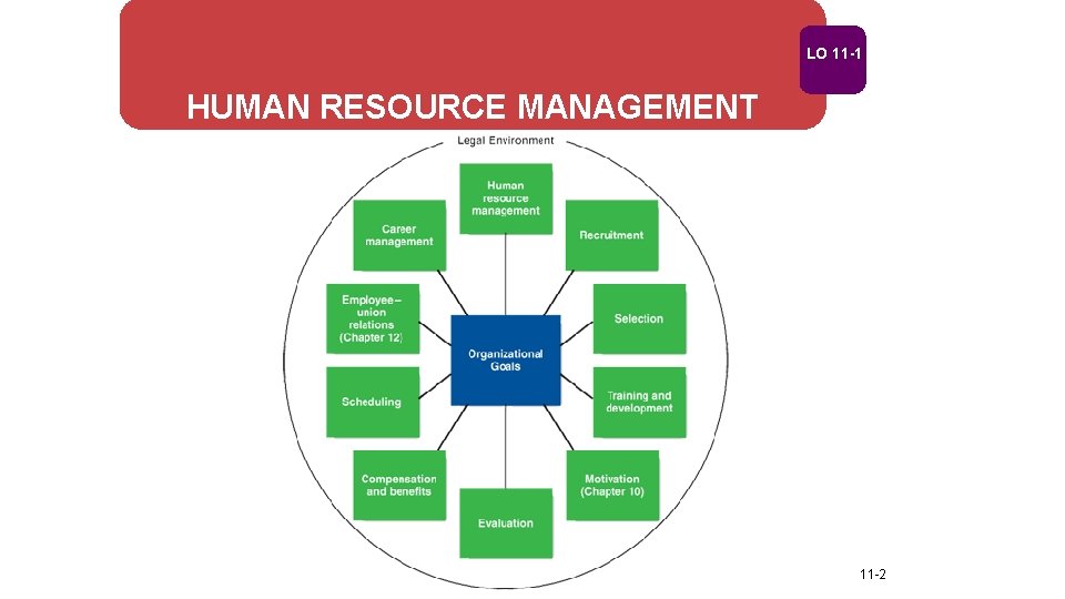 LO 11 -1 HUMAN RESOURCE MANAGEMENT 11 -2 