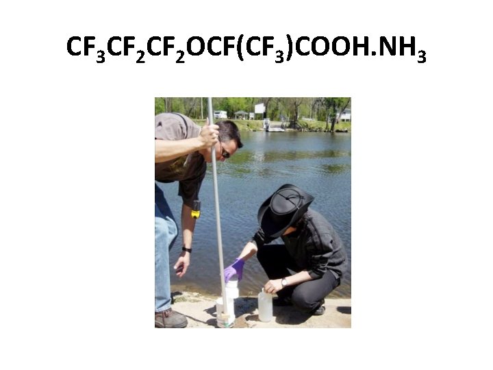 CF 3 CF 2 OCF(CF 3)COOH. NH 3 CF 3 CF 2 OCF(CF 3)COOH. NH 3