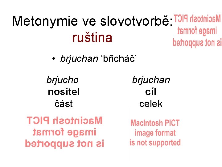 Metonymie ve slovotvorbě: ruština • brjuchan ‘břicháč’ brjucho nositel část brjuchan cíl celek 