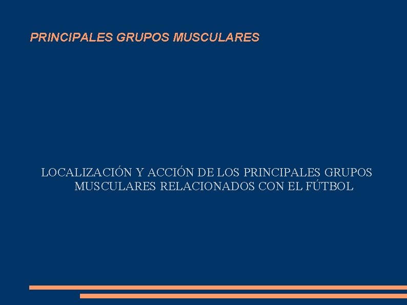 PRINCIPALES GRUPOS MUSCULARES LOCALIZACIÓN Y ACCIÓN DE LOS PRINCIPALES GRUPOS MUSCULARES RELACIONADOS CON EL