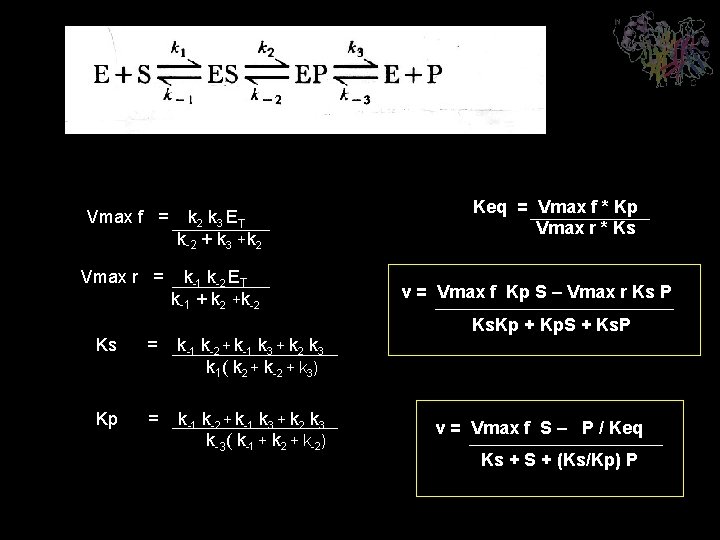 K-2+ Vmax f = k 2 k 3 ET k-2 + k 3 +k