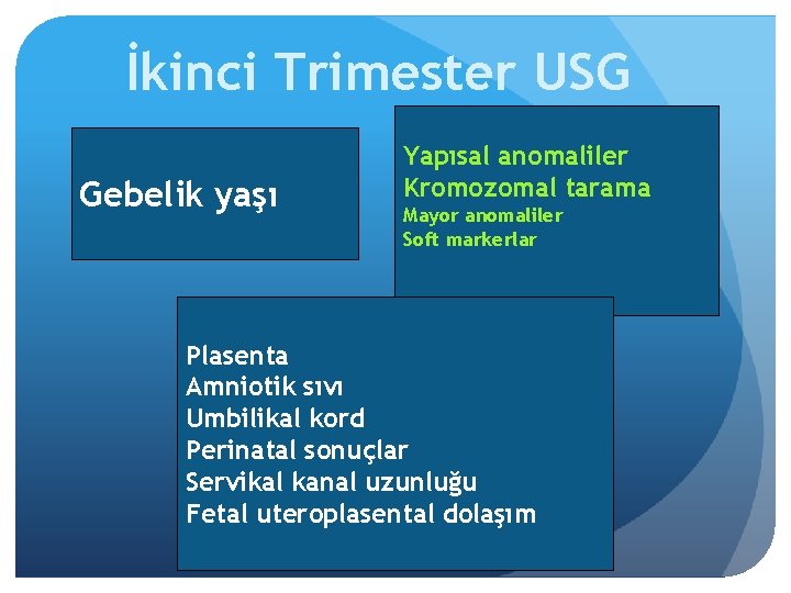 İkinci Trimester USG Gebelik yaşı Yapısal anomaliler Kromozomal tarama Mayor anomaliler Soft markerlar Plasenta