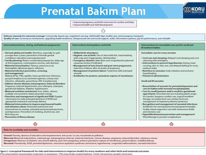 Prenatal Bakım Planı 