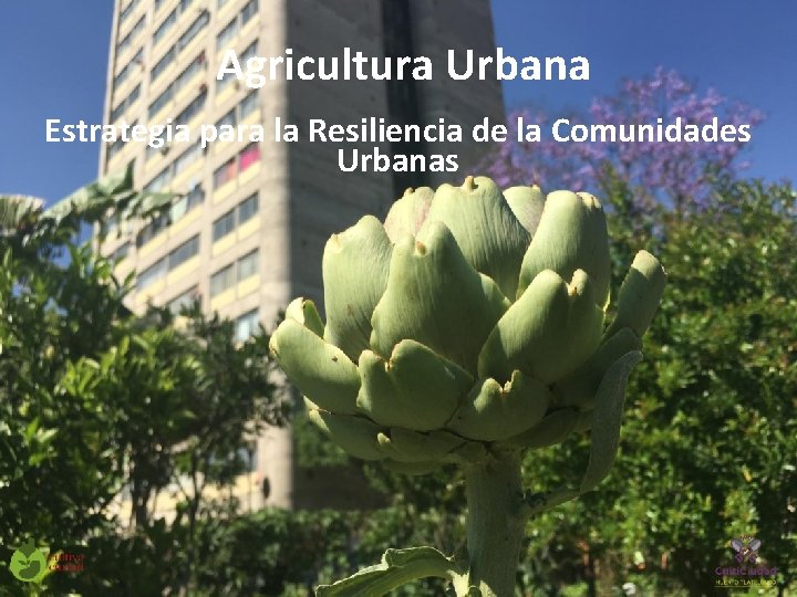 Agricultura Urbana Estrategia para la Resiliencia de la Comunidades Urbanas 