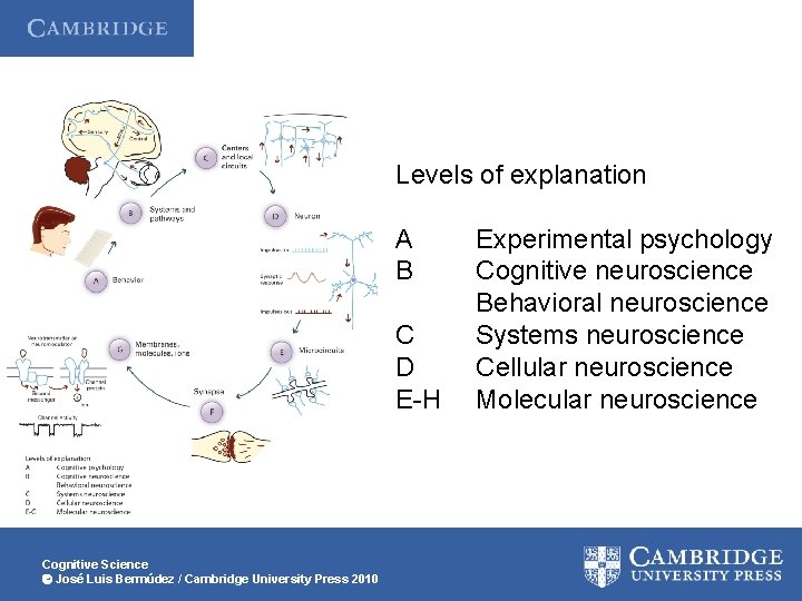 Levels of explanation A B C D E-H Cognitive Science José Luis Bermúdez /